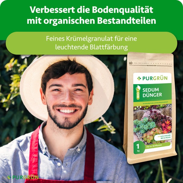 Kinderteppich mit Weltraum-Motiv vor weißer Kommode, grünem Plüschdinosaurier und hellblauem Sternkissen auf hellem Parkett.