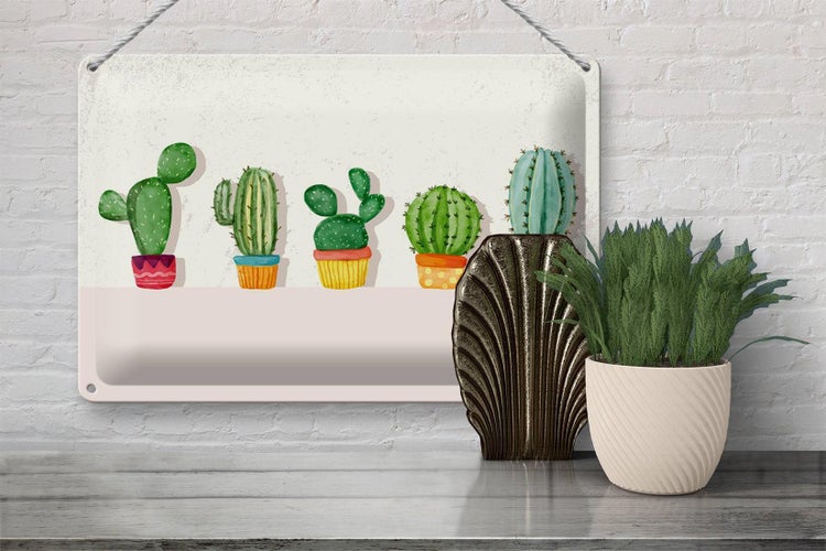 Blechschild Spruch 5 Kakteen Blumentopf Kaktus 30x20cm