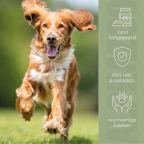alphazoo Hanföl für Hunde 250ml