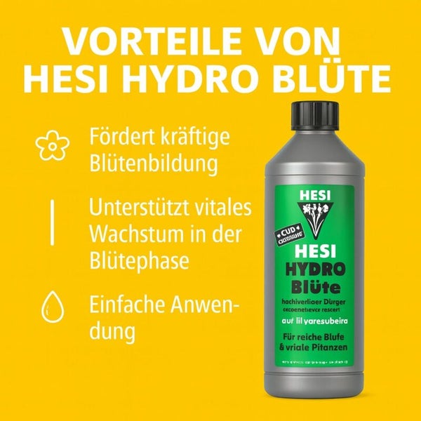 Hesi Hydro Blüte Flüssigdünger für Hydrokulturen fördert Blütenbildung und vitales Wachstum während der Blütephase bei einfacher Anwendung.