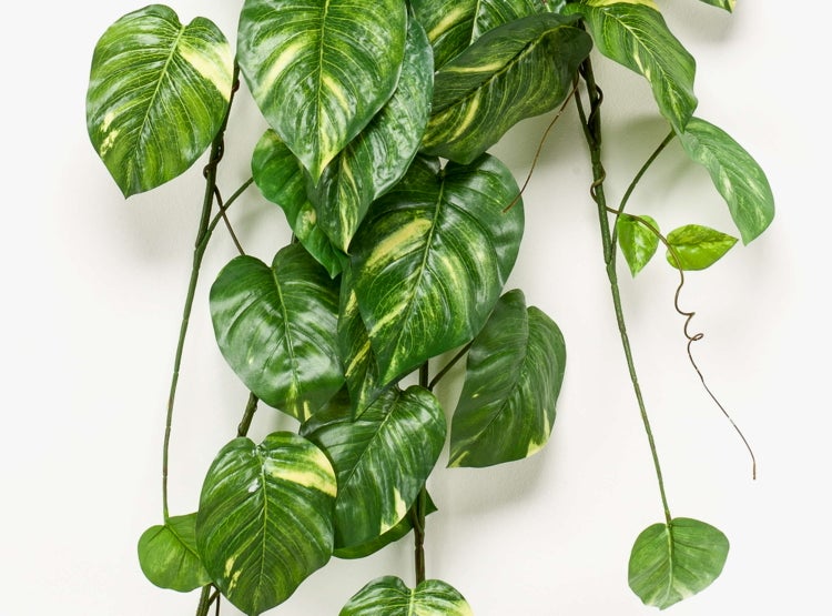 Künstlicher Busch Efeututen JULIANO auf Steckstab, grün, 135cm - Künstlicher Pothos