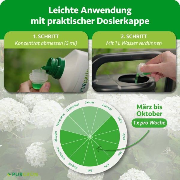 Purgrün Logo. Anwendung: 5 Milliliter Konzentrat mit 1 Liter Wasser verdünnen. Anwendung von März bis Oktober einmal pro Woche.