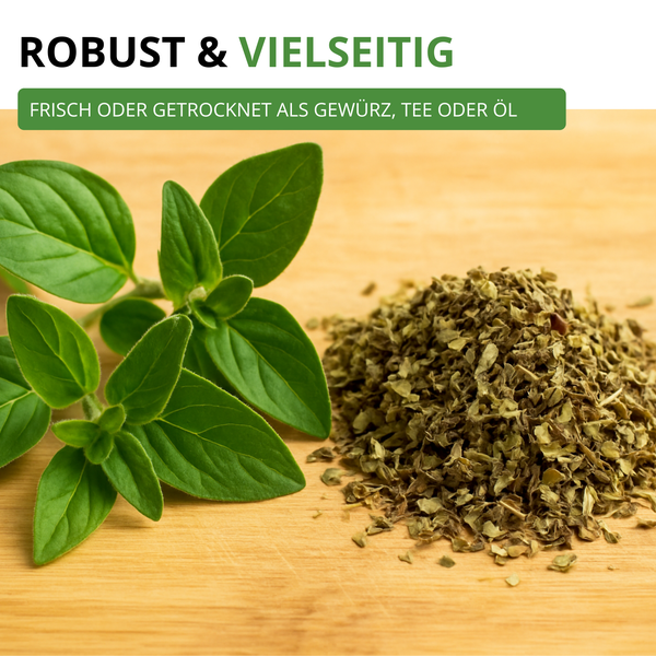Frischer und getrockneter Oregano auf einem Holzbrett. Texthinweis auf vielseitige Verwendung als Gewürz, Tee oder Öl.