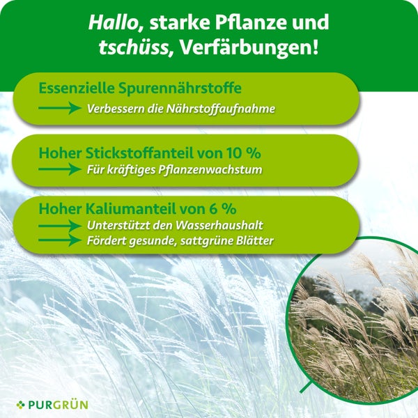 Infografik zum Purgrün Pflanzendünger mit Angaben zu Spurennährstoffen, 10 Prozent Stickstoff und 6 Prozent Kalium für kräftiges Pflanzenwachstum.