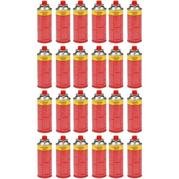 Roter Fächerahorn Acer palmatum in einem Garten mit grünen Farnen und gelben Pflanzen.