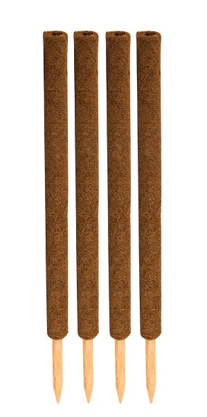 BigDean 4er Set Pflanzstäbe Kokos 80 cm - Monstera Rankhilfe Rankstäbe Stab Moosstäbe Pflanzenstäbe Kokosstäbe für Pflanzen - aus natürlicher Kokosfaser - verlängerbar