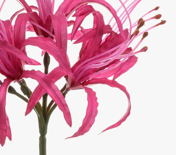 Rosa künstliche Blume Lycoris mit geschwungenen Blütenblättern, langen Staubblättern und grünem Stiel.