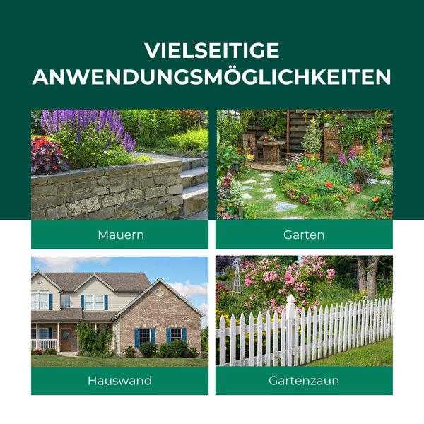 Silberkraft Hunde und Katzen EX Granulat 200g, Hund & Katze von deinem Grundstück fernhalten, Hundeabwehr & Katzenvertreiber, Alternative zu Sprays, Gittern oder Ultraschallgeräten