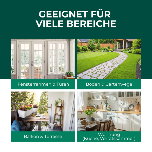 Silberkraft Ameisenspray 500 ml, hochwirksames Mittel gegen Ameisen in Haus & Garten, Sofort & Langzeitwirkung, Ameisen bekämpfen auf Terrasse, Balkon & Wegen