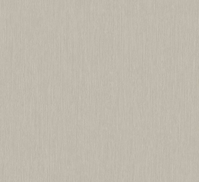 Zweig einer Buche mit Blättern