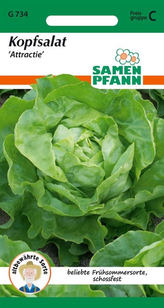 Kopfsalat der Sorte 'Attractie' Samenpackung