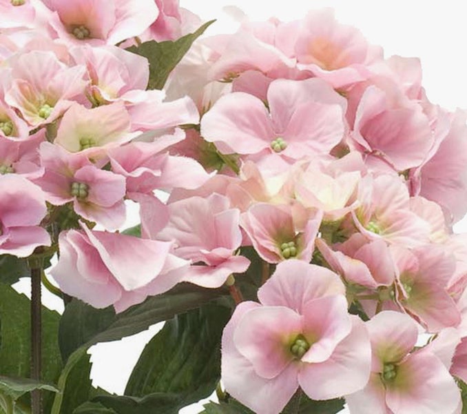Detailaufnahme einer künstlichen Hortensie mit rosa Blüten und grünen Blättern.