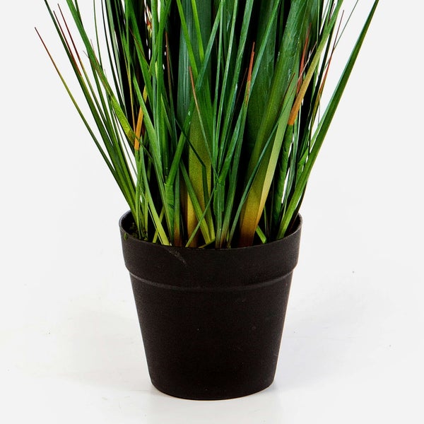 Künstliche Graspflanze in einem schwarzen Topf.