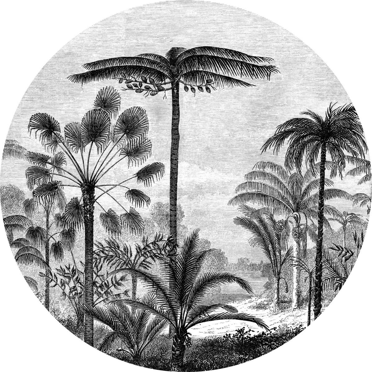 ESTAhome selbstklebende runde Tapete tropische Landschaft mit Palmen Schwarz-Weiß - Ø 140 cm - 159006