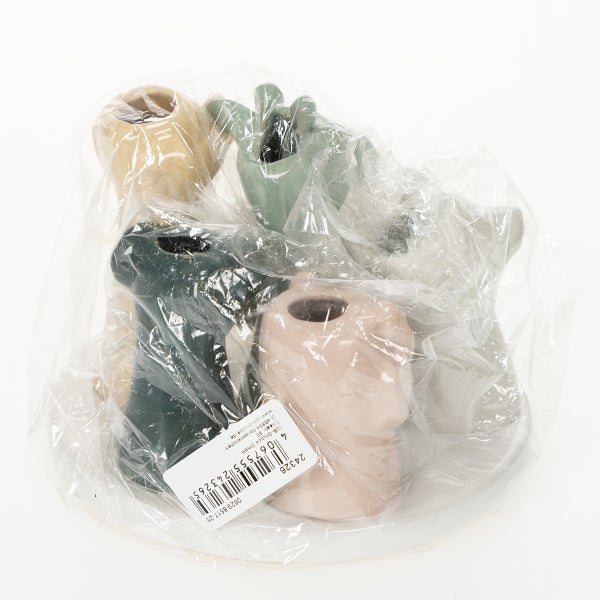 Vier Pflanztöpfe in Kopf Form in einer transparenten Verpackung.