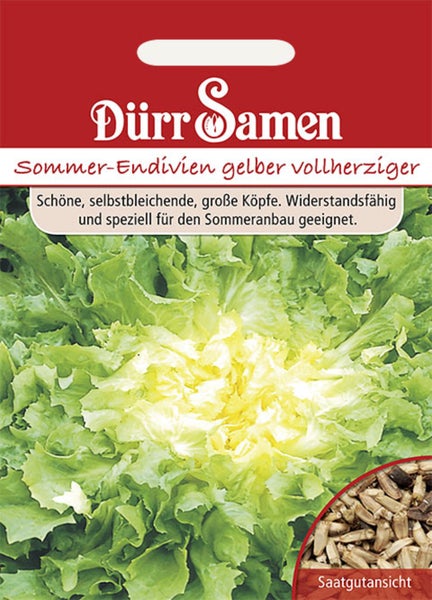 Samenpackung für Sommer-Endivien Gelber Vollherziger von Dürr Samen mit Abbildung eines Endivienkopfs und Detailansicht der Samen.