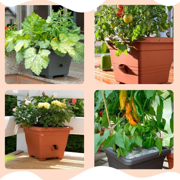 Pflanzkübel Rechteckig Pflanzkübel Groß Außen Blumenkübel Outdoor Pflanztopf Pflanzkasten Blumentopf Wasserspeicher 25x25 cm terrakotta