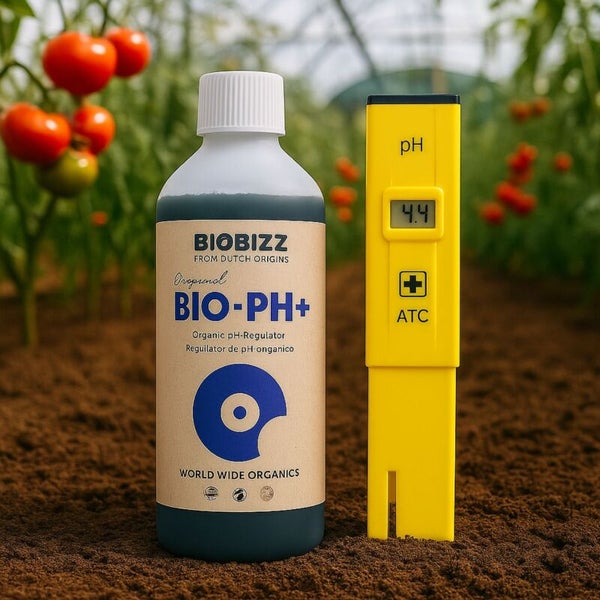 Biobizz Bio-PH+ organischer pH-Regulator Flasche und digitales pH-Messgerät auf Erde in einem Gewächshaus mit Tomatenpflanzen.