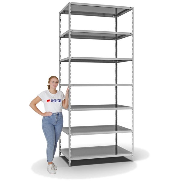 PROREGAL Fachbodenregal Schraubsystem Light-Duty Grundregal HxBxT 300 x 130 x 80 cm 7 Ebenen Fachlast 125 kg Beidseitig Nutzbar Verzinkt