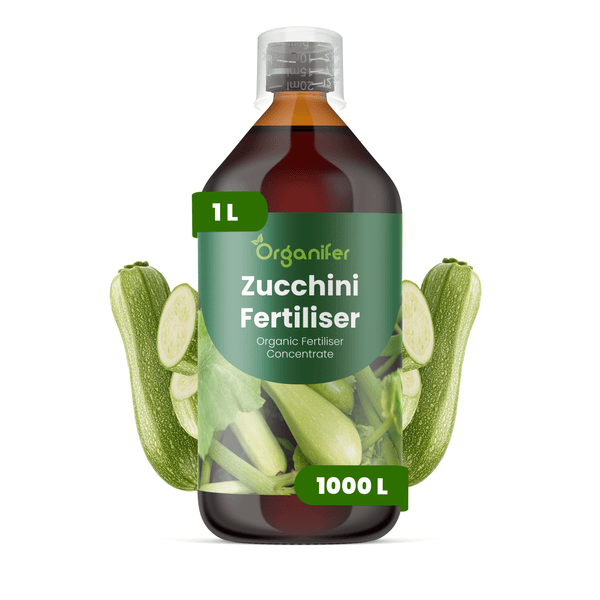 Flasche Organifer Zucchini-Dünger, organisches Flüssigdünger-Konzentrat, 1 Liter für circa 1000 Liter Gießwasser.