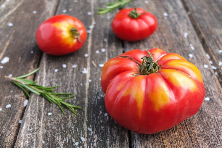SAFLAX  - BIO - Tomate - Rouge de Marmande - Solanum lycopersicum - 10 Samen