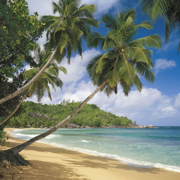 Tropischer Strand mit Palmen und Meer