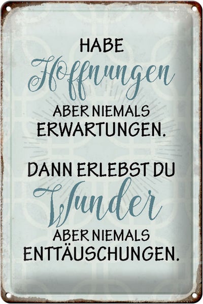 Blechschild Spruch 20x30cm habe Hoffnungen nie Erwartungen