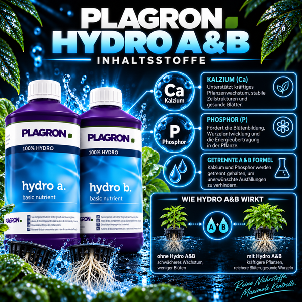 Plagron Hydro A und B Basisnährstoff für Pflanzen in Flaschen mit Erklärungen zu Inhaltsstoffen wie Kalzium und Phosphor sowie zur Wirkungsweise.
