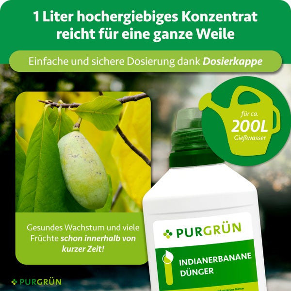 Quadratischer Pflanzkübel aus Metall für den Aussenbereich