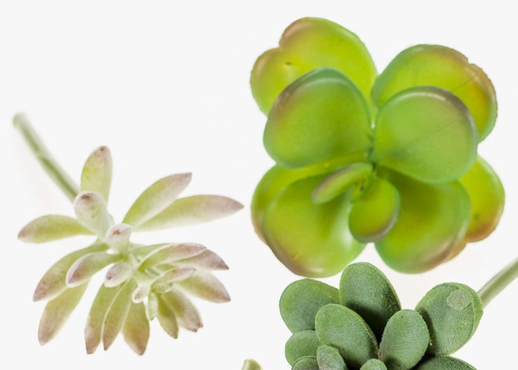 Künstliche Hängepflanze in einem schwarzen Topf mit feinen grünen Blättern.