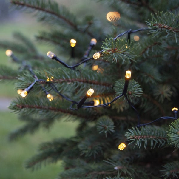 Lichterkette mit warmweißem Licht an einem Baum