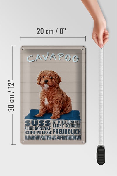 Blechschild Spruch 20x30cm Cavapoo Hund süss freundlich