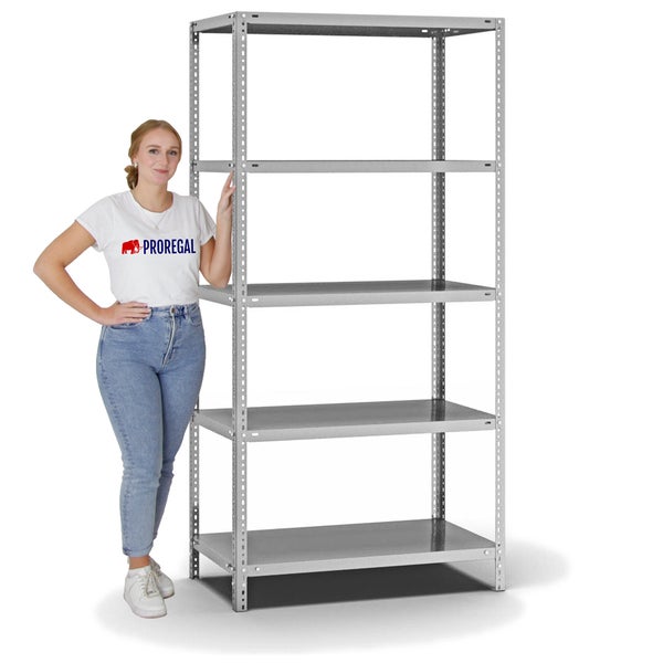 PROREGAL Fachbodenregal Schraubsystem Light-Duty Grundregal HxBxT 200 x 100 x 50 cm 5 Ebenen Fachlast 125 kg Beidseitig Nutzbar Verzinkt