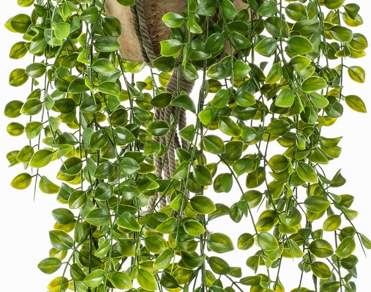 Künstliche Hängepflanze mit kleinen grünen Blättern und Seilaufhängung.