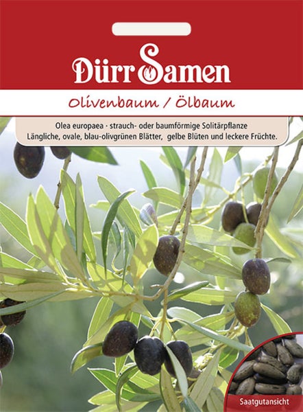 Saatgutpackung für Olivenbaum Olea europaea von Dürr Samen mit Abbildung von Olivenzweig und Samen.
