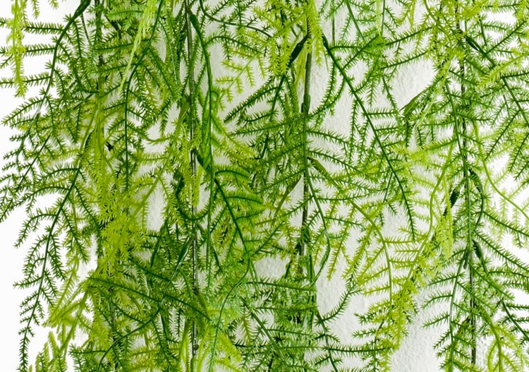 Künstlicher Farnzweig zum Hängen mit grünen, fein gefiederten Blättern.