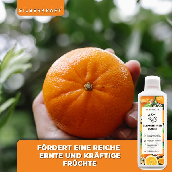 SILBERKRAFT Clementinen Dünger – Für Clementinen & Mandarinen – 1 Liter