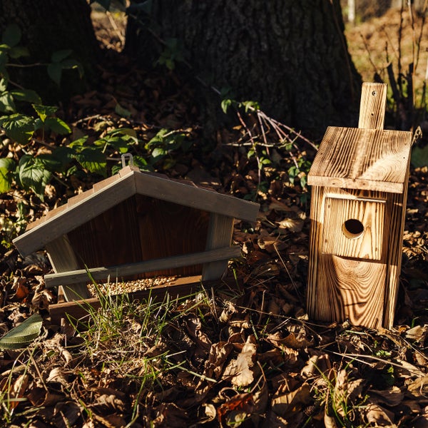 Vogelfutterhaus und Nistkasten aus Holz auf Laub im Garten.