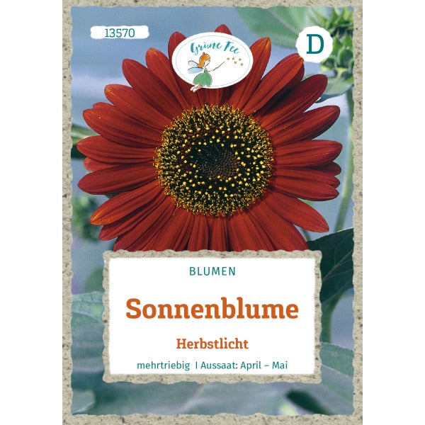 Sonnenblume Herbstlicht Samen von Grüne Fee
