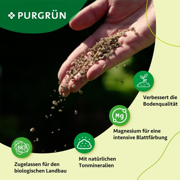 Purgrün Bio-Eberesche-Dünger 1 kg
