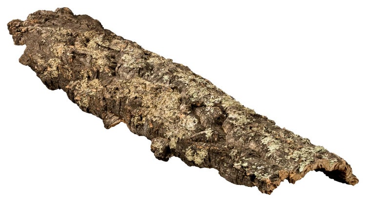 Natürliche Korkrinde für Terrarien und Aquarien, gebogene Form mit rauer Textur.