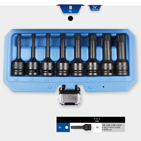 Achtteiliger Satz Torx-Einsätze in blauem Kasten