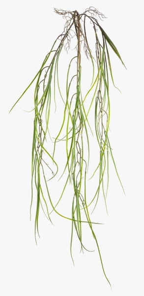 Künstliches Hängegras mit langen, schmalen grünen Halmen und braunen Wurzeln am oberen Ende.