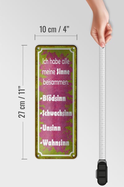 Blechschild Spruch 10x27cm habe alle meine Sinne beisammen Dekoration