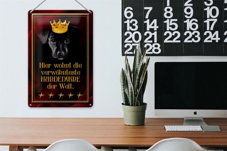 Blechschild Spruch 20x30cm hier wohnt Hundedame der Welt