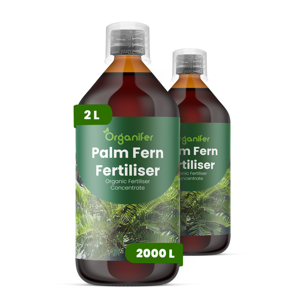 Zwei Flaschen Organifer Flüssigdünger für Palmen und Farne, organisches Konzentrat, insgesamt 2 Liter für circa 2000 Liter Gießwasser.