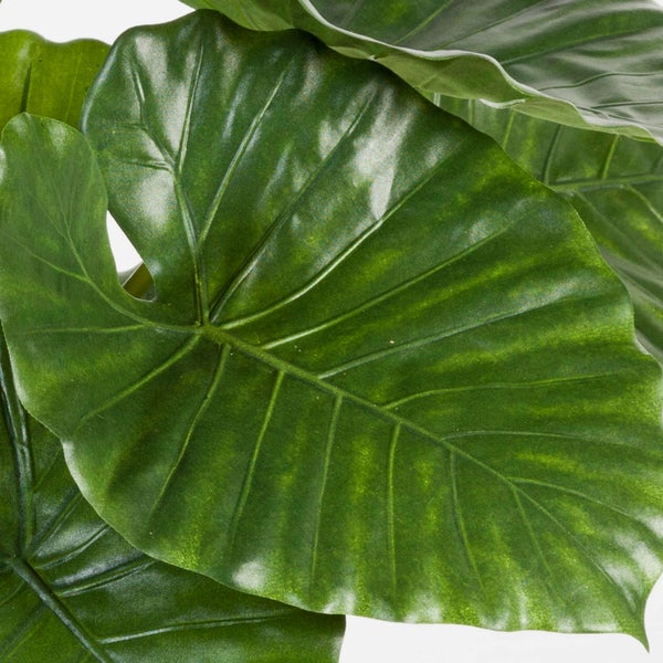 Künstliche Alocasia Pflanze mit großen grünen Blättern im schwarzen Topf.