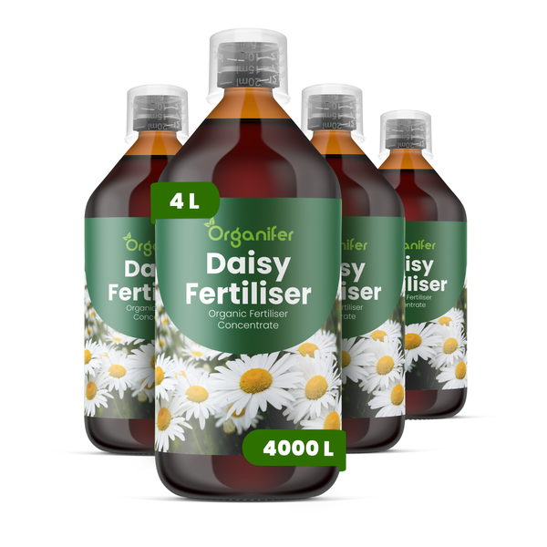 Organifer Daisy Fertiliser Gänseblümchen-Dünger, organisches Konzentrat, 4 Liter Set bestehend aus vier Flaschen.