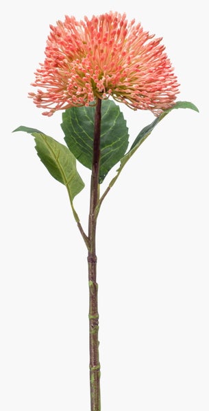 Künstliche Nadelkissen-Protea mit pfirsichfarbener Blüte und grünen Blättern.