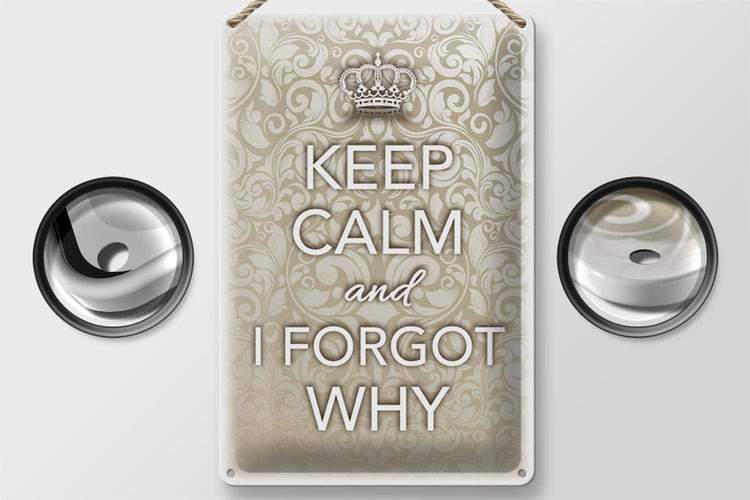 Blechschild Spruch 20x30cm Keep Calm and i forgot why